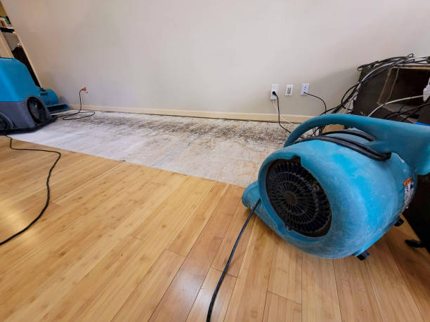 Professional Emergency Water Damage technician working in Flat Rock, MI
